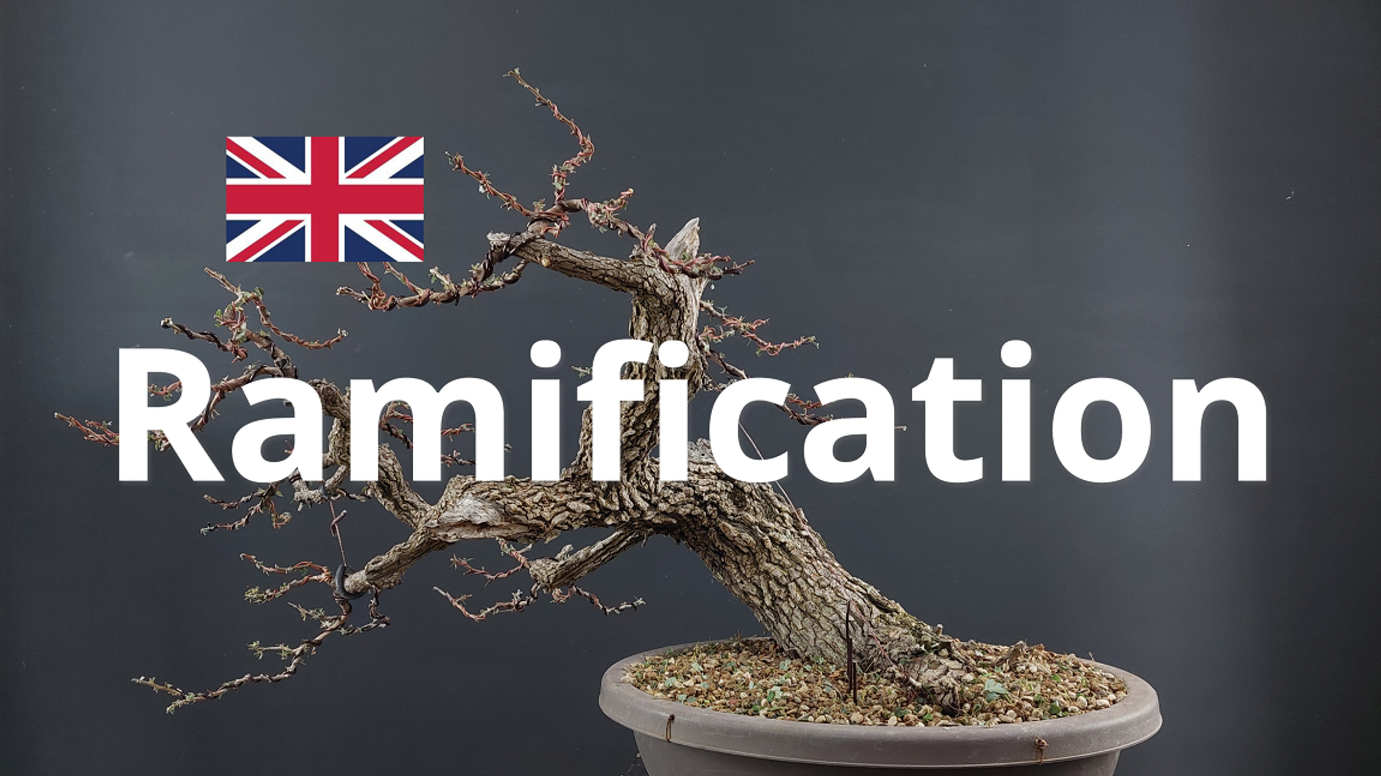 Ramification - English